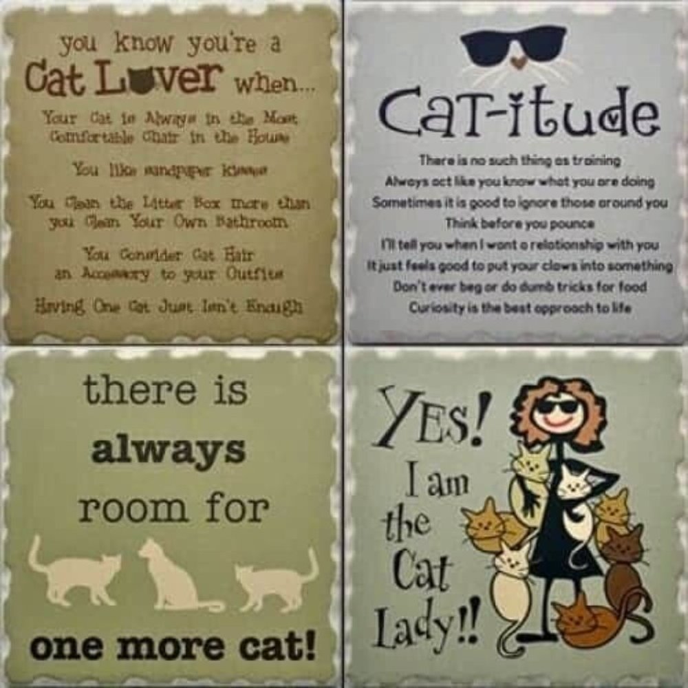Cat Lover Coasters Set for Drinks